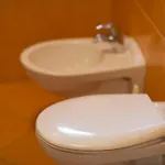 Gloria * סראייבו